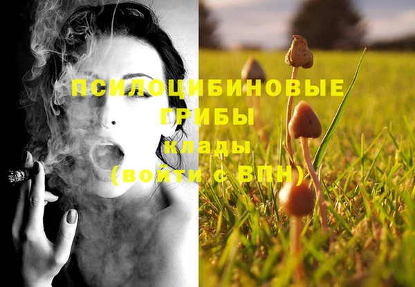 apvp Балабаново