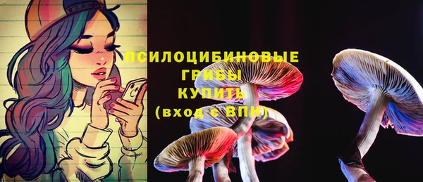apvp Балабаново