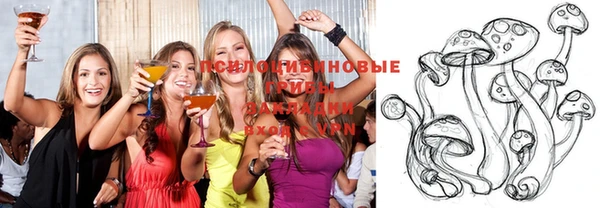 дмт Балахна