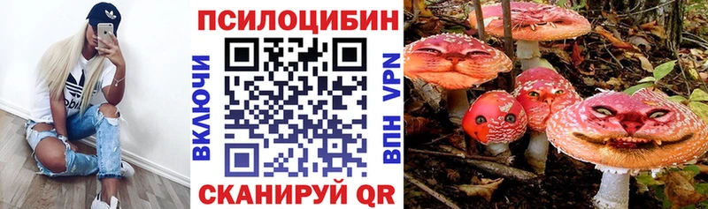 Псилоцибиновые грибы мицелий  KRAKEN сайт  Горбатов 